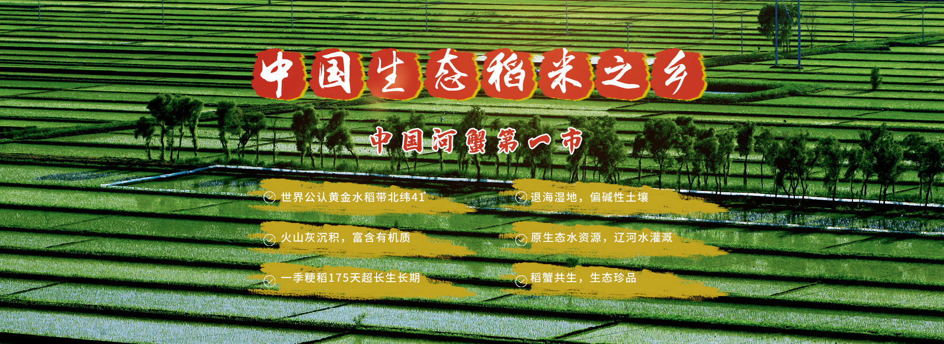 山東中科冶金礦山機(jī)械有限公司